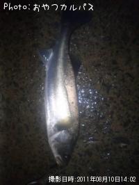 �����Х�