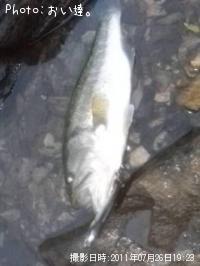 ¥Ö¥é¥Ã¥¯¥Ð¥¹