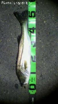 �����Х�