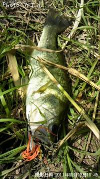 �֥�å��Х�