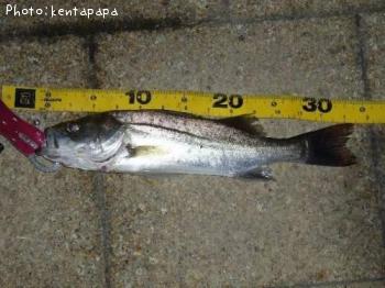 �����Х�