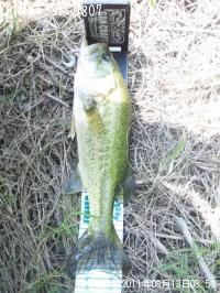 �֥�å��Х�