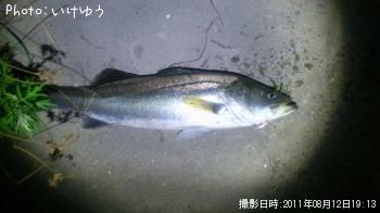 �����Х�