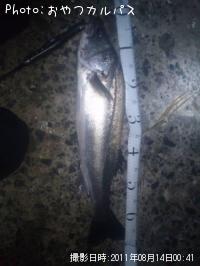 �����Х�