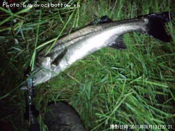 �����Х�