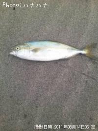 ���֤����