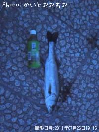 �����Х�