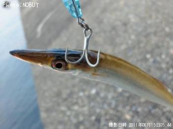 ���ޥ���