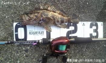 ¥¿¥±¥Î¥³¥á¥Ð¥ë