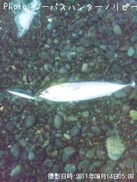 ���������ĥ�