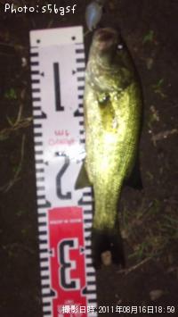 �֥�å��Х�