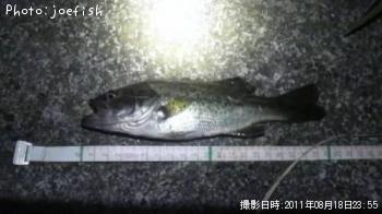 ¥Ö¥é¥Ã¥¯¥Ð¥¹