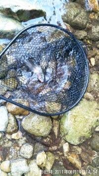 �쥤��ܡ��ȥ饦��