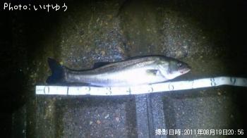 �����Х�