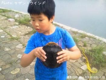 ¤ß¤É¤ê¥¬¥á