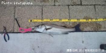 �����Х�