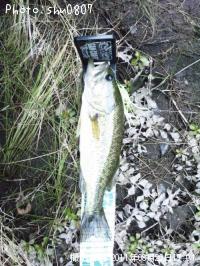 �֥�å��Х�