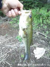 ¥Ö¥é¥Ã¥¯¥Ð¥¹