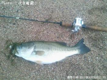 �֥�å��Х�