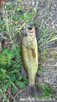 ¥Ö¥é¥Ã¥¯¥Ð¥¹