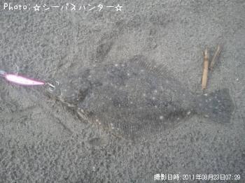 ¥Ò¥é¥á¥Á¥ã¥ó