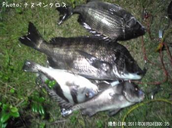 ��������