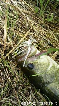 �֥�å��Х�