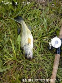 ¥Ö¥é¥Ã¥¯¥Ð¥¹