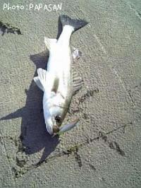 �����Х�