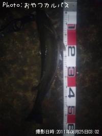 �����Х�