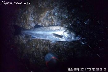 �����Х�