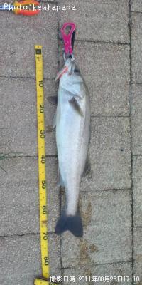 �����Х�