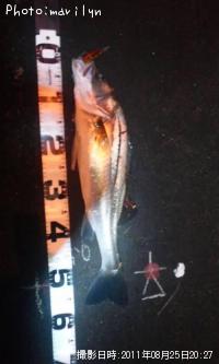 �����Х�