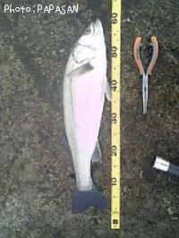 �����Х�