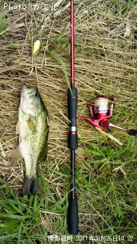 �֥�å��Х�