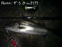 �����Х�