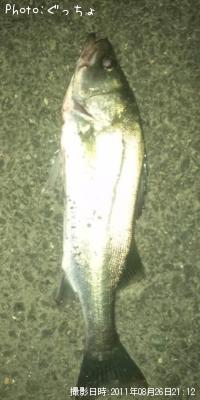 �����Х�