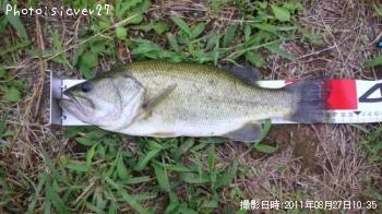 �֥�å��Х�