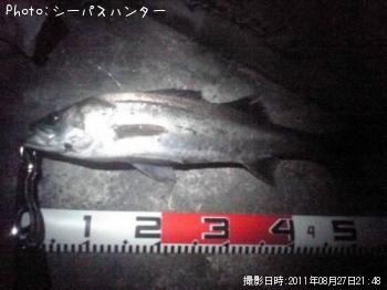 �����Х�