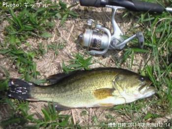 �֥�å��Х�