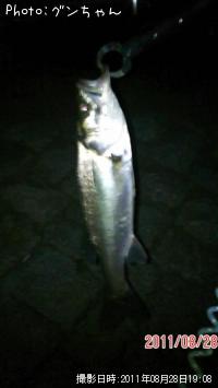 �����Х�����ʥ�������