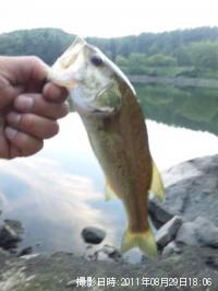 �֥�å��Х�