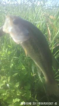 �֥�å��Х�