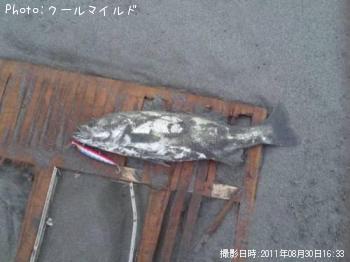 �����Х�