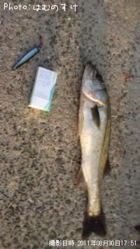 �����Х�