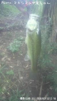 �֥�å��Х�