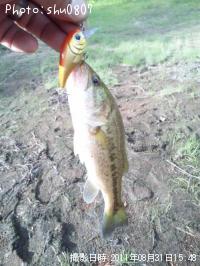 �֥�å��Х�