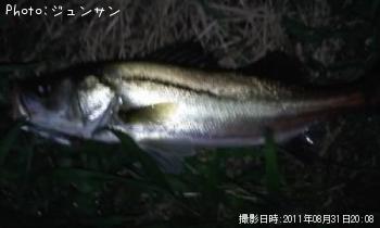 �����Х�