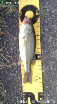 �֥�å��Х�