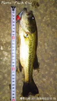 ¥Ö¥é¥Ã¥¯¥Ð¥¹